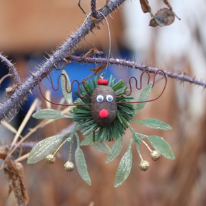 The Alaska Mooseltoe Christmas Ornament 3